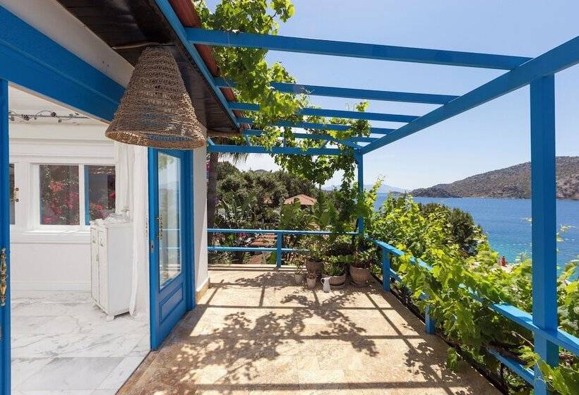 جناح, Sabrinas Haus   Adults Only