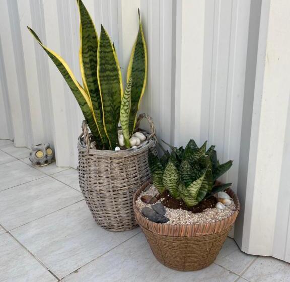 1-Schlafzimmer-Haus, Zimmer Dora