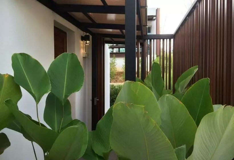 プールビュースイート, Seanery Beach Resort