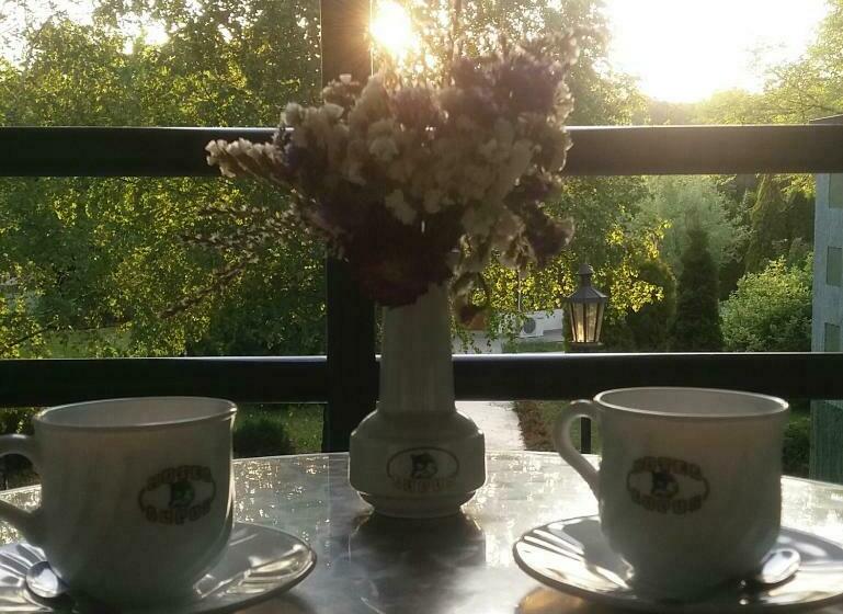 إستوديو قياسى, Garni Hotel Lupus
