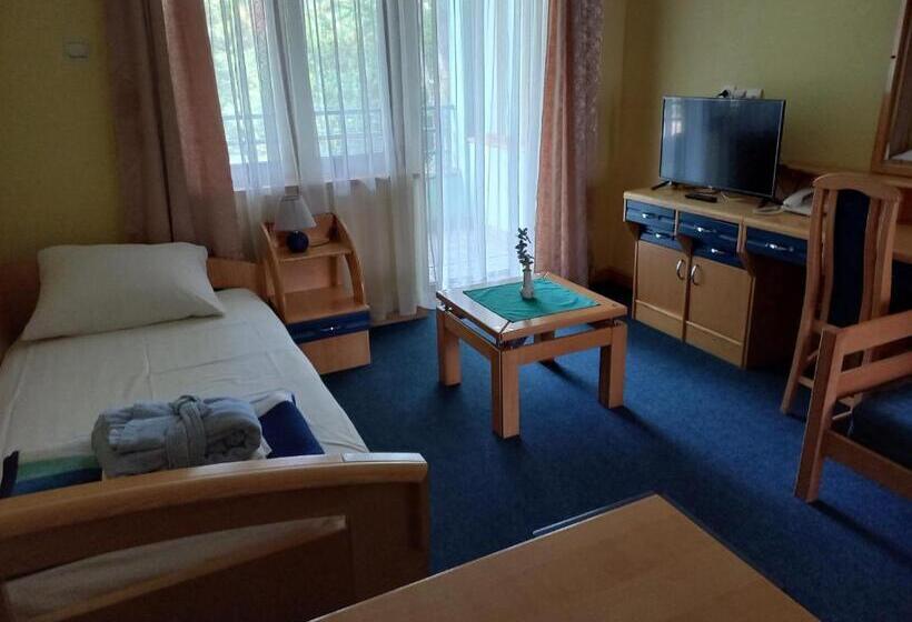 إستوديو قياسى, Garni Hotel Lupus