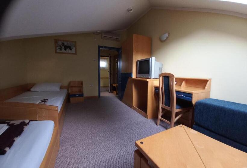 اتاق عادی, Garni Hotel Lupus