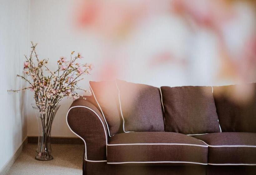 Superior Værelse, 1000 Ruza