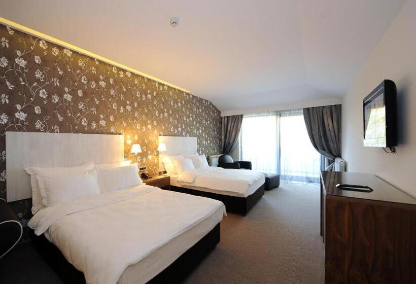 Superior Værelse, 1000 Ruza