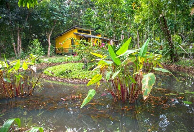 Бунгало Deluxe, Garden Of Joy Resort