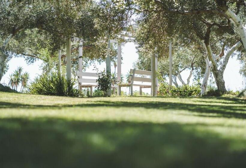 スーペリアスタジオ, Fata Morgana Studios & Apartments