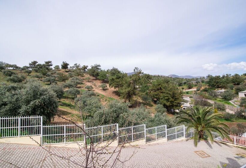 Chambre Standard, Diamond