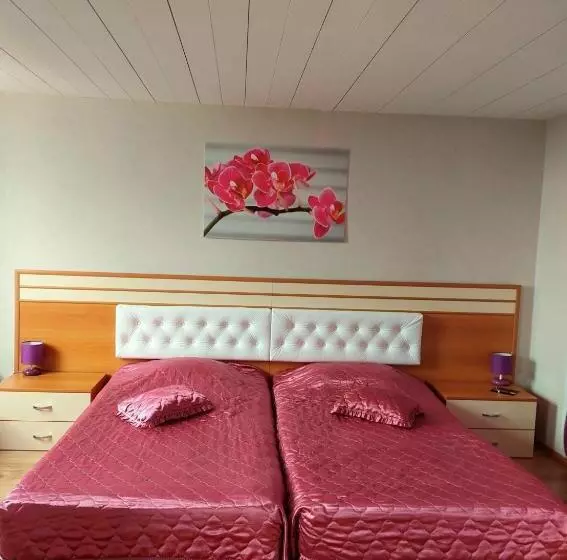 اتاق استاندارد یک نفره, Dobrudja