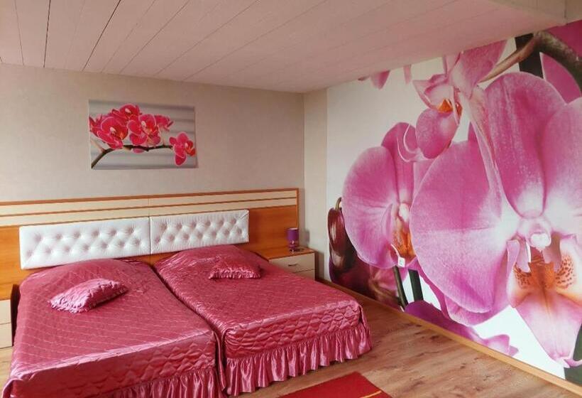 اتاق استاندارد یک نفره, Dobrudja