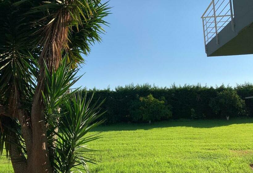 استودیوی استاندارد, Villa Pap