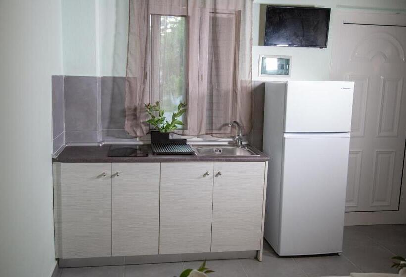 استودیوی استاندارد, Villa Pap