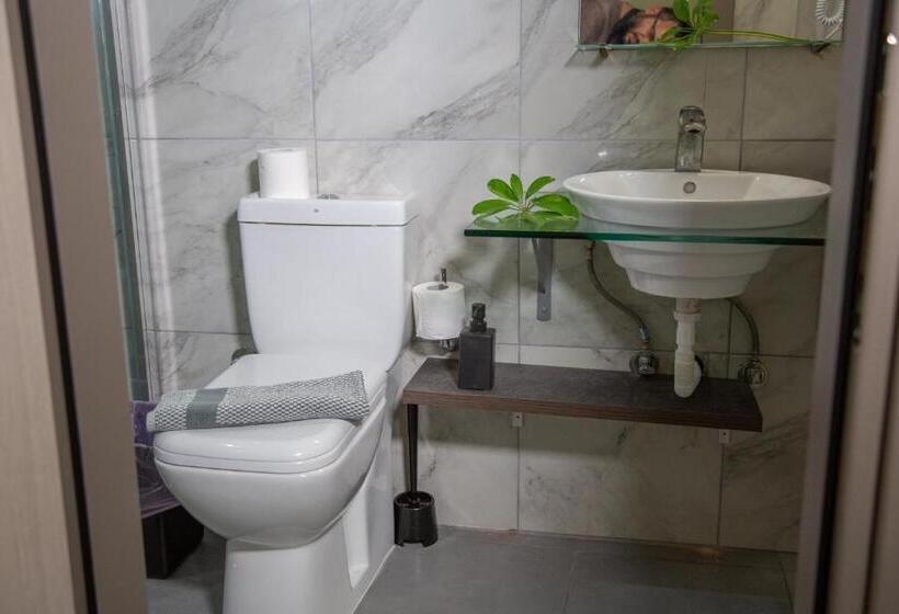 استودیوی استاندارد, Villa Pap