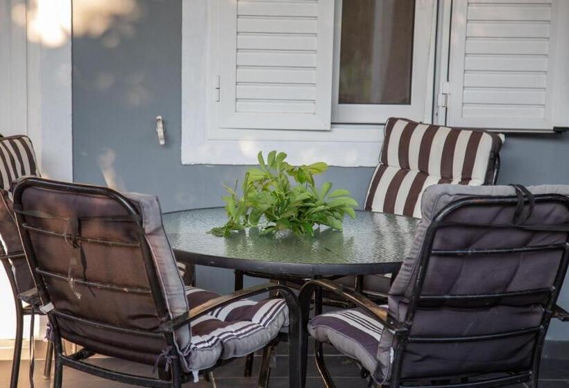 استودیوی استاندارد, Villa Pap