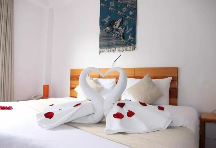 マウンテンビュースタンダードルーム, Fenix Hotel Machupicchu