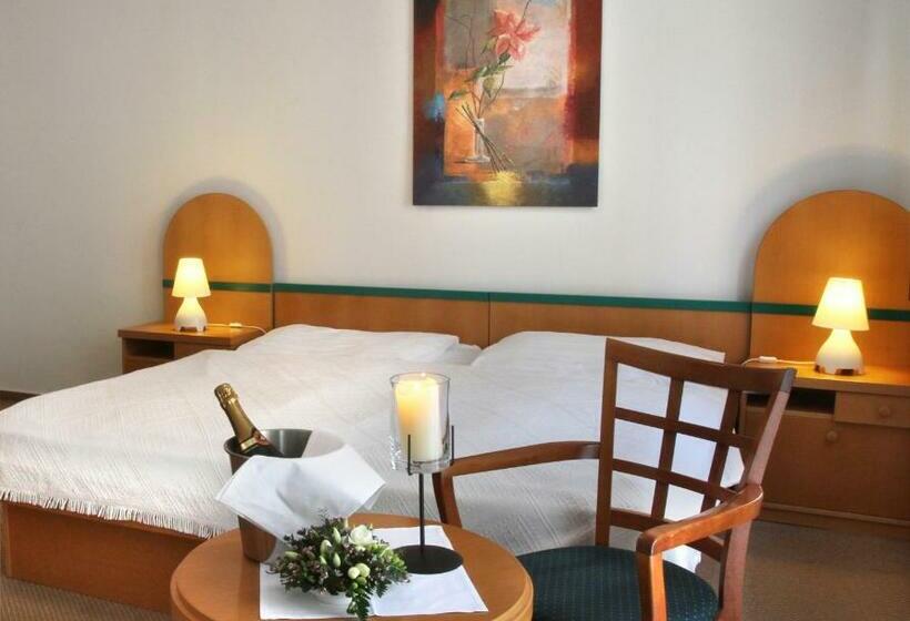 غرفة قياسية, Maxim