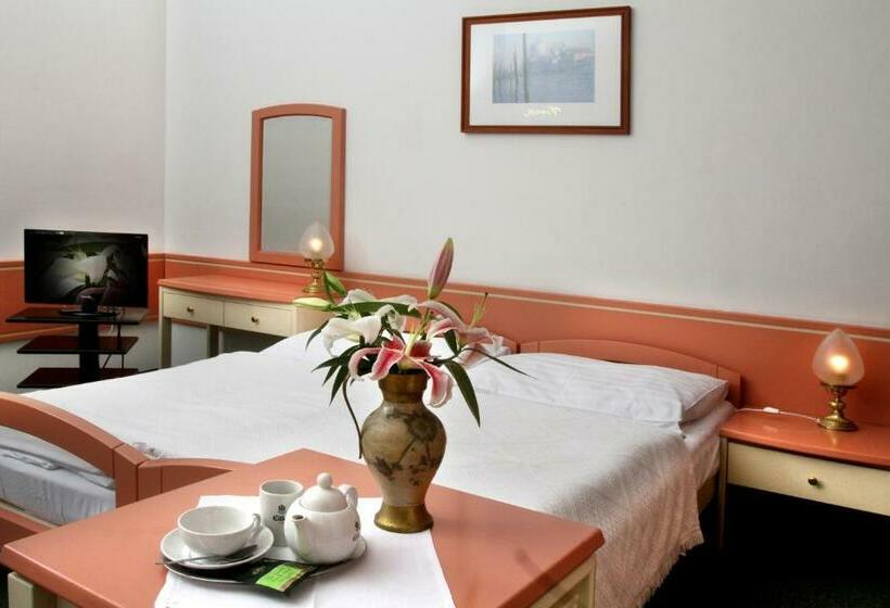 غرفة قياسية, Maxim