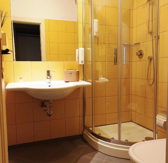 غرفة قياسية فردية, Maxim