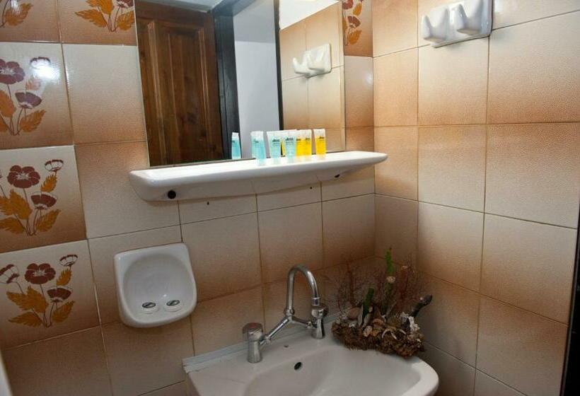 غرفة قياسية, Pegasus