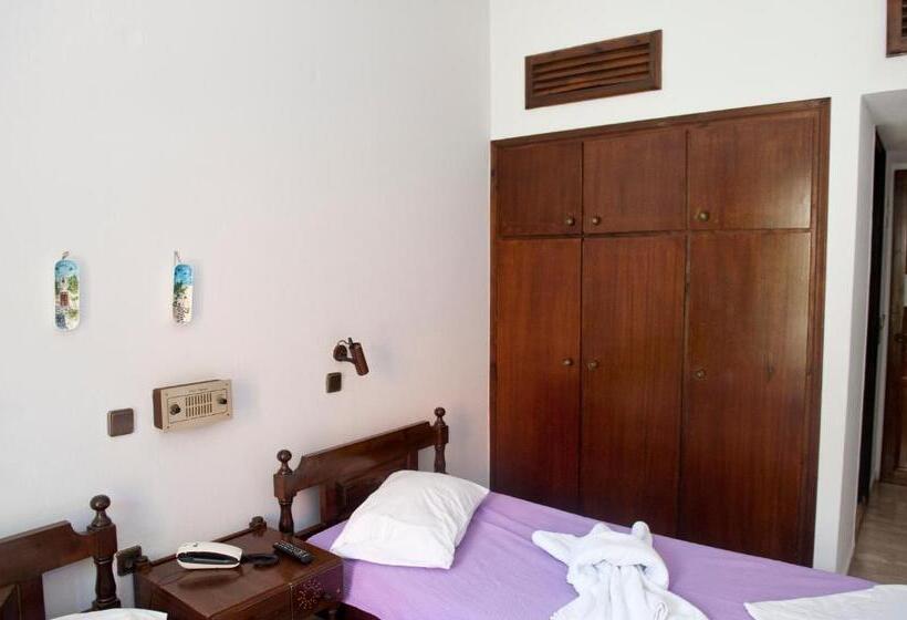 غرفة قياسية, Pegasus