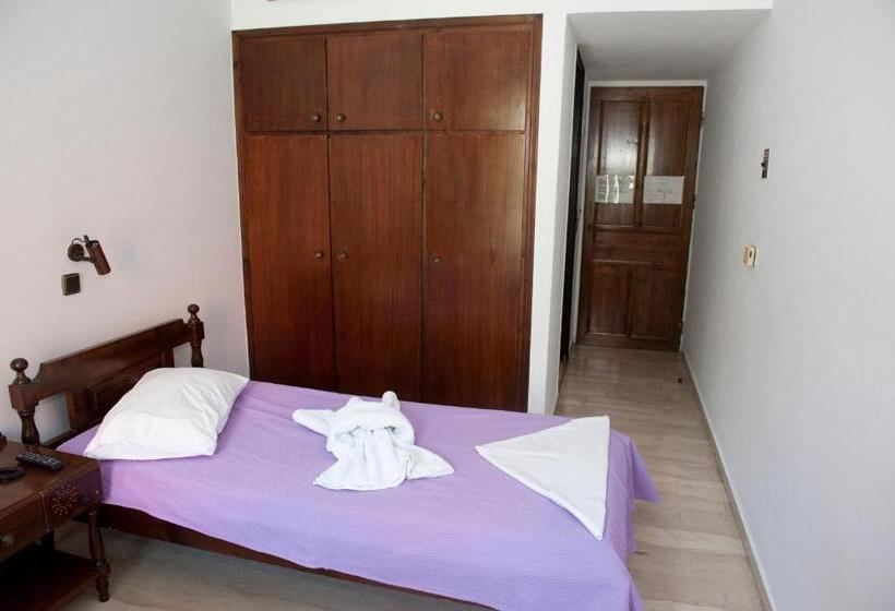 غرفة قياسية, Pegasus