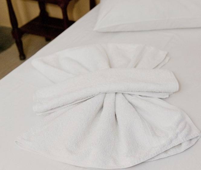 غرفة قياسية فردية, Pegasus