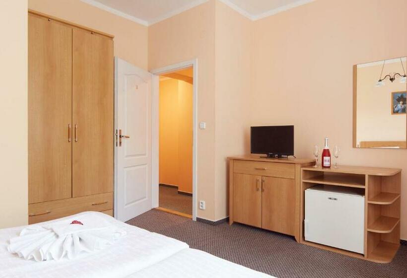 غرفة قياسية, Penzion Rossini