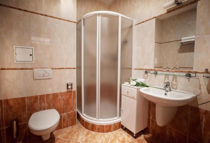 غرفة قياسية فردية, Reitenberger Spa Medical