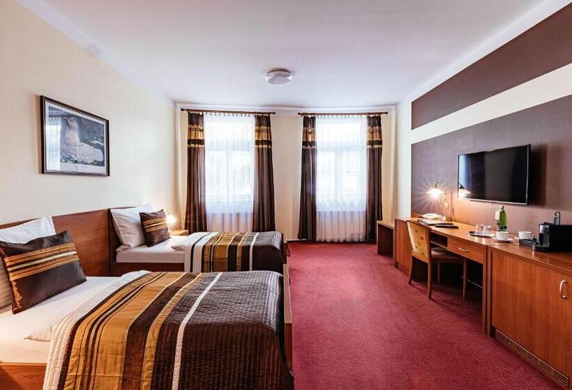 غرفة قياسية, Reitenberger Spa Medical