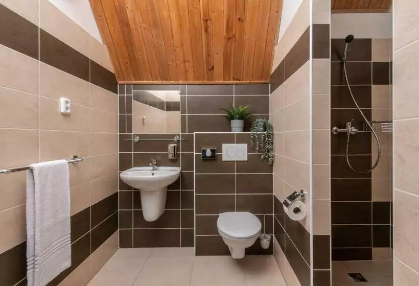 اتاق استاندارد با بالکن, Wellness Hotel šedý Vlk