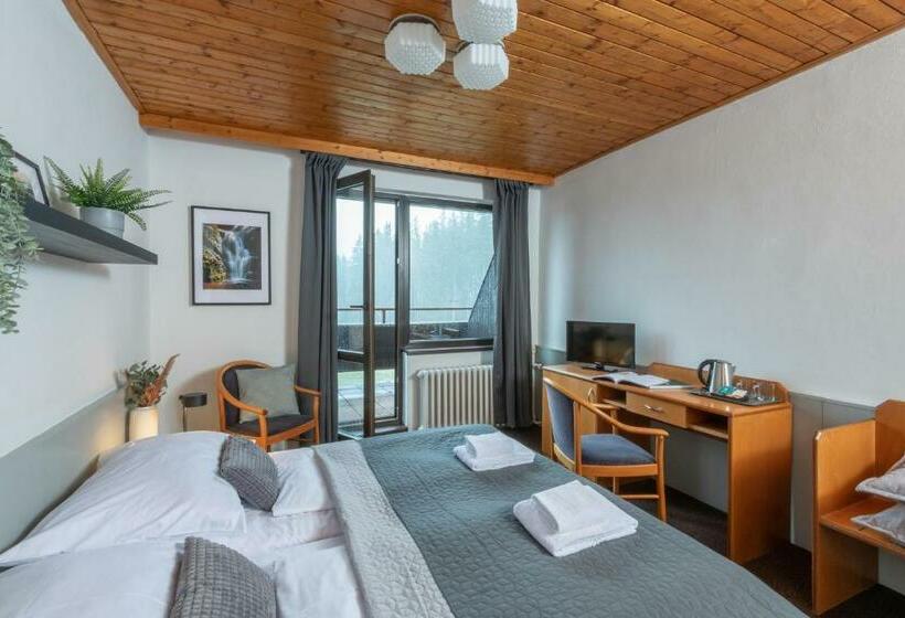 غرفة قياسية مزوَّدة بشُرفة, Wellness Hotel šedý Vlk