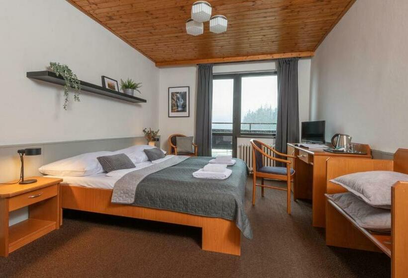 غرفة قياسية مزوَّدة بشُرفة, Wellness Hotel šedý Vlk