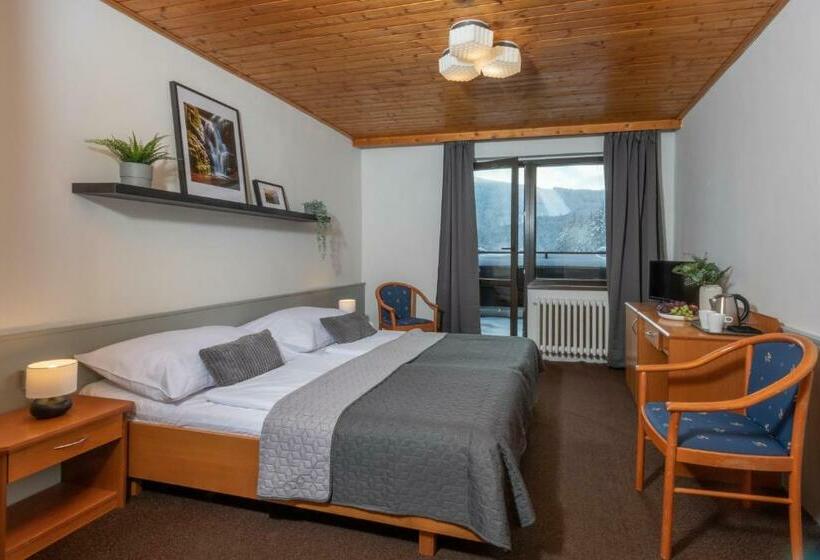 غرفة قياسية مزوَّدة بشُرفة, Wellness Hotel šedý Vlk