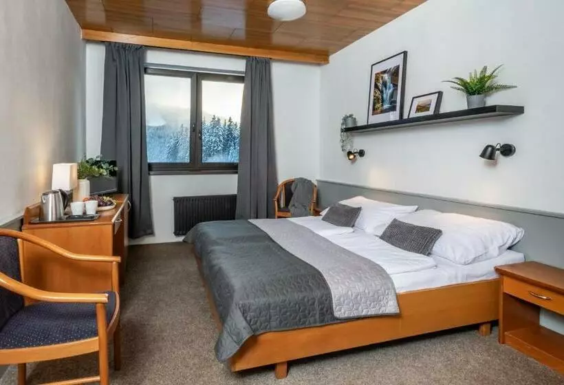 اتاق استاندارد, Wellness Hotel šedý Vlk