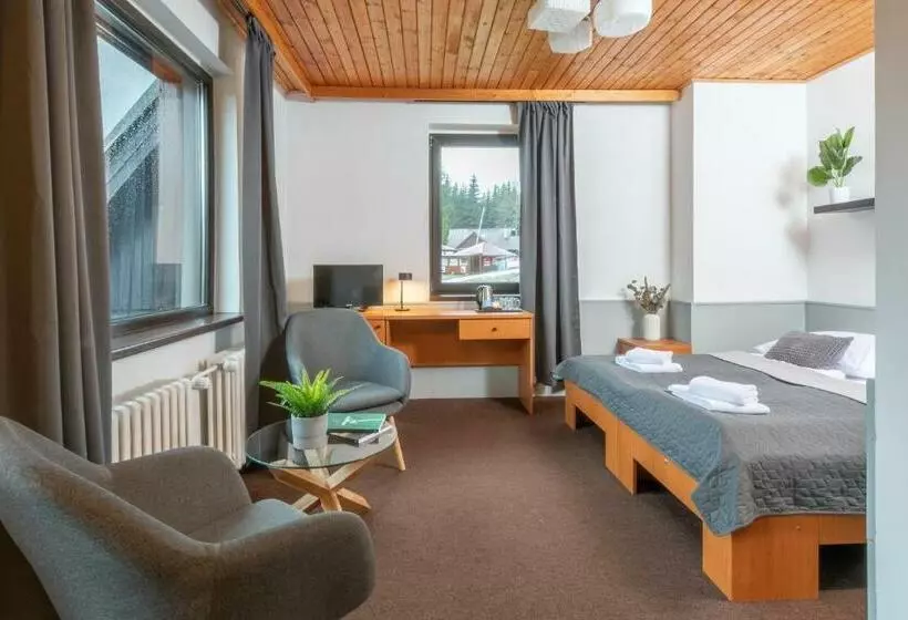 اتاق استاندارد, Wellness Hotel šedý Vlk