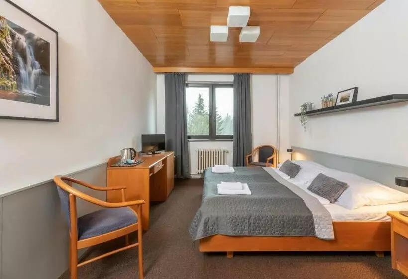 اتاق استاندارد, Wellness Hotel šedý Vlk