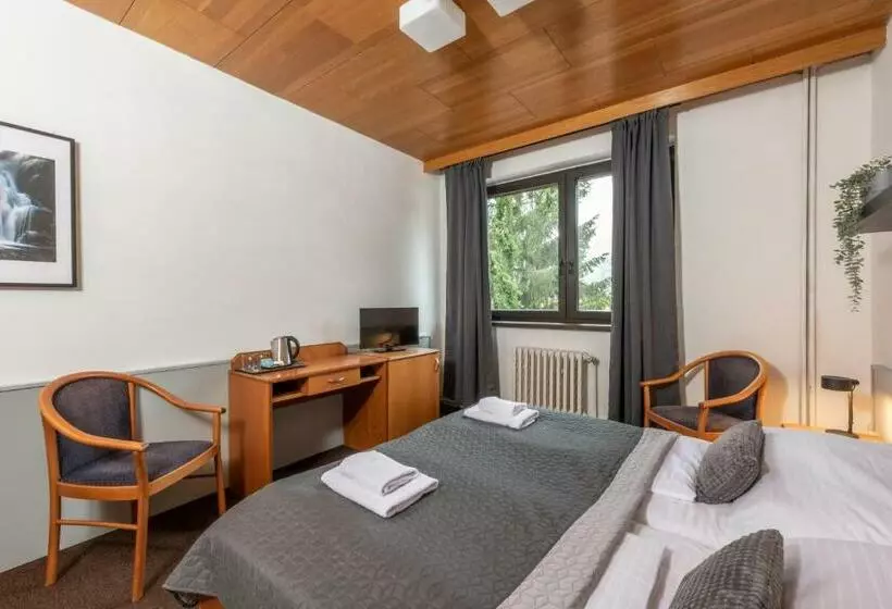 اتاق استاندارد, Wellness Hotel šedý Vlk