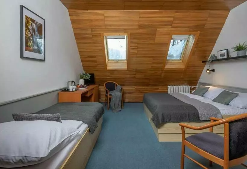 اتاق استاندارد سه نفره, Wellness Hotel šedý Vlk