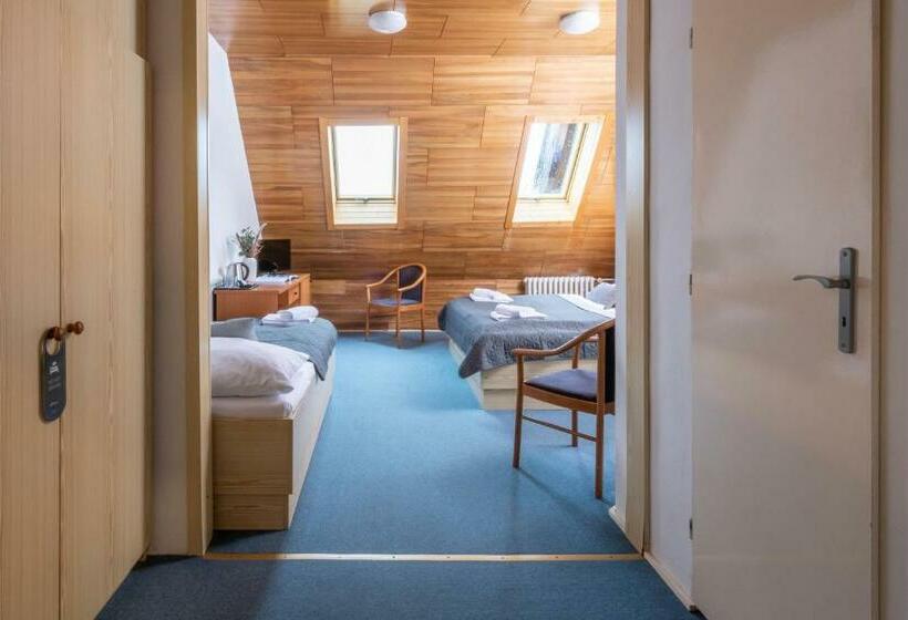 غرفة قياسية ثلاثية, Wellness Hotel šedý Vlk