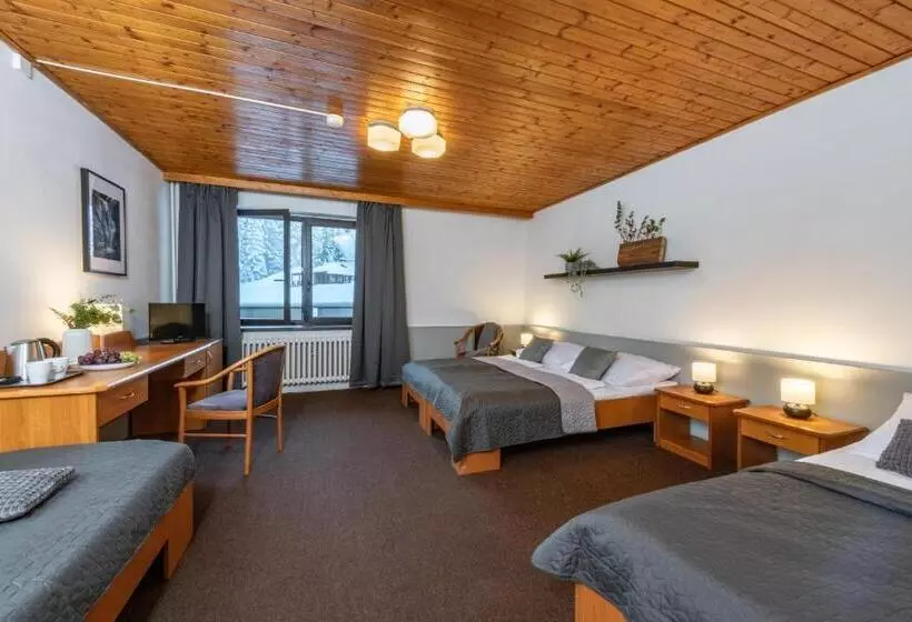 اتاق استاندارد چهار تخته, Wellness Hotel šedý Vlk