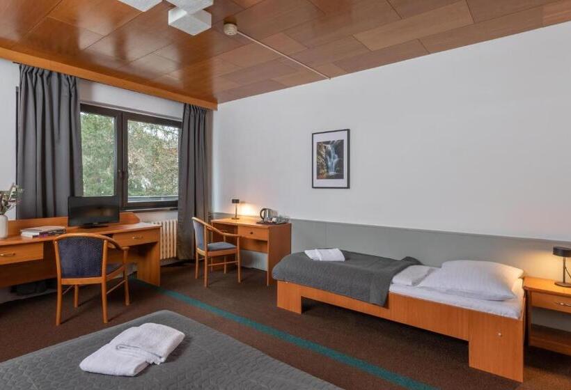 غرفة قياسية رباعية, Wellness Hotel šedý Vlk