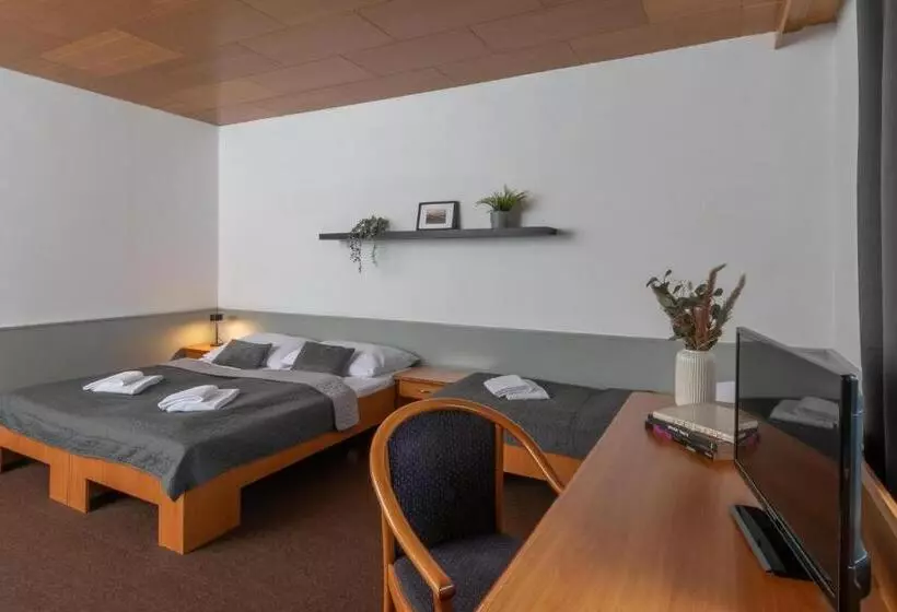 اتاق استاندارد چهار تخته, Wellness Hotel šedý Vlk