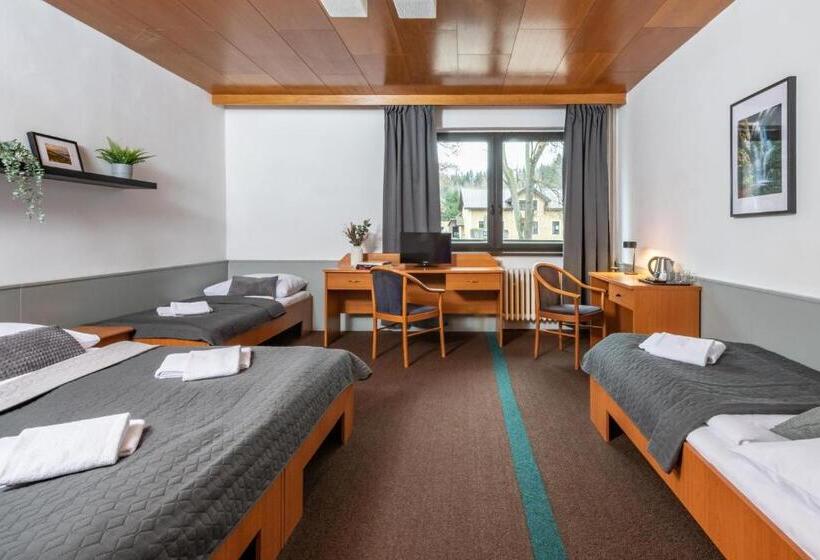 غرفة قياسية رباعية مزودة بشُرفة, Wellness Hotel šedý Vlk