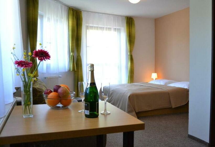 اتاق استاندارد, Wellness Hotel Sauna