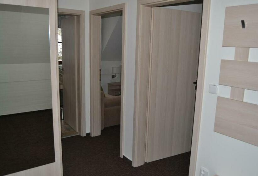 آپارتمان سوپریور 1 خوابه, Wellness Hotel Sauna