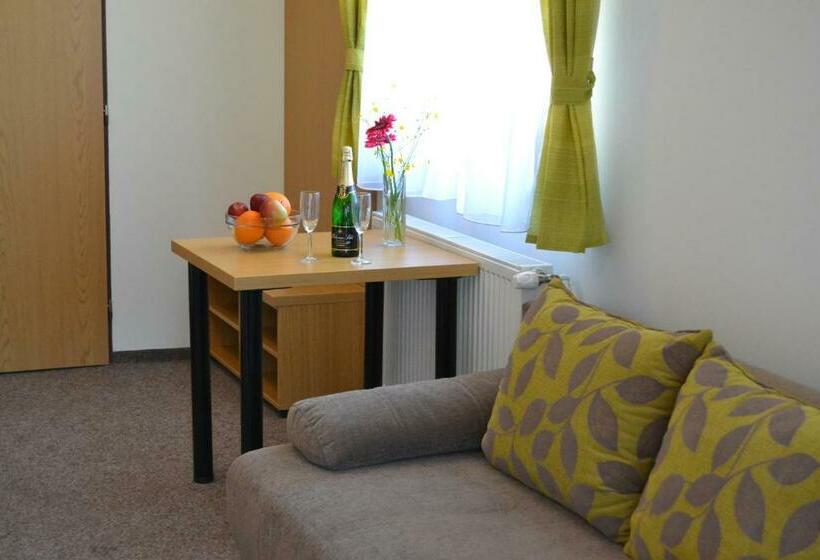 اتاق استاندارد, Wellness Hotel Sauna