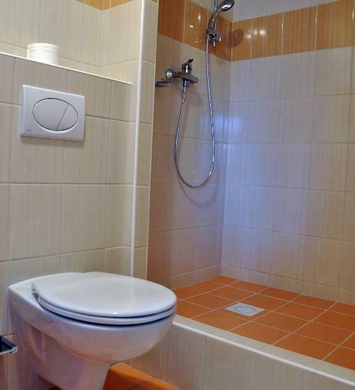 اتاق استاندارد چهار تخته, Wellness Hotel Sauna