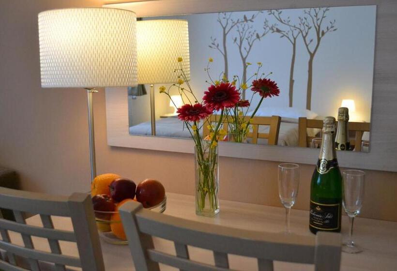 اتاق سوپریور, Wellness Hotel Sauna