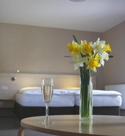 اتاق سوپریور سه تخته, Wellness Hotel Sauna