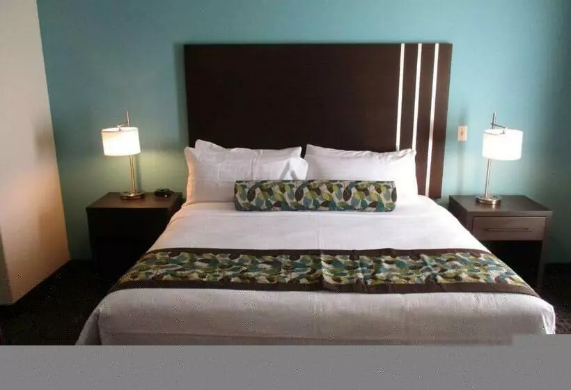 キングサイズベッドのスタンダードルーム, Best Western Plus/executive Residency Elk City