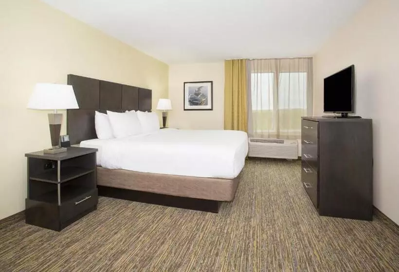身障者適用キングサイズベッドルーム, Candlewood Suites Longmont   Boulder Area, An Ihg